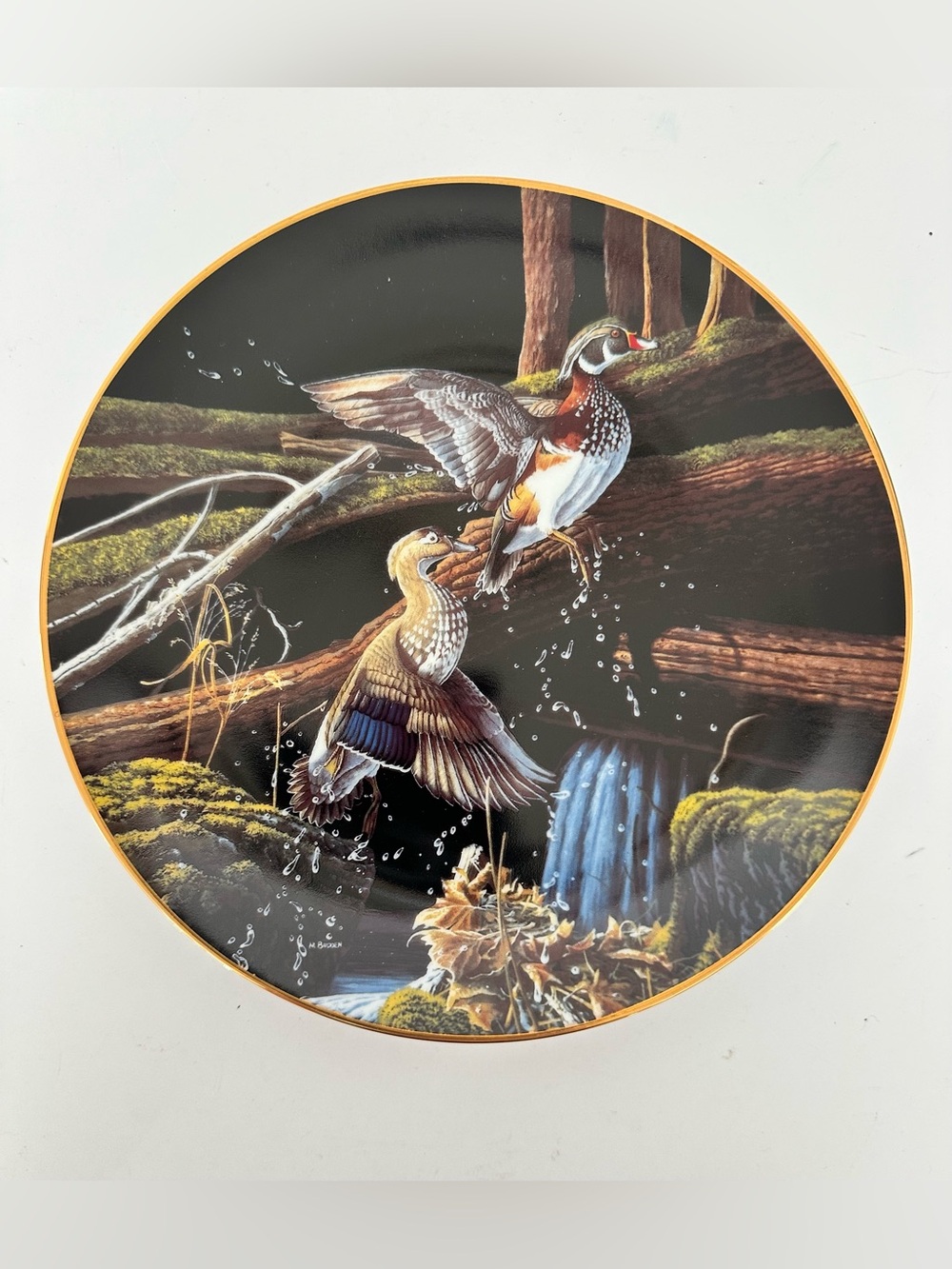 Michael Buddin “Skyward” collector plate Edwin Knowles China Company